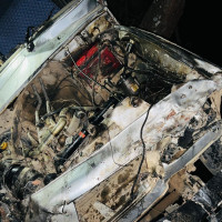 दुष्ट बकुल्लो चलाख गँगटो