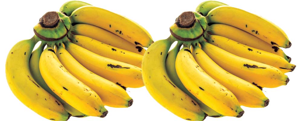 अचाक्ली बढ्यो केराको भाउ