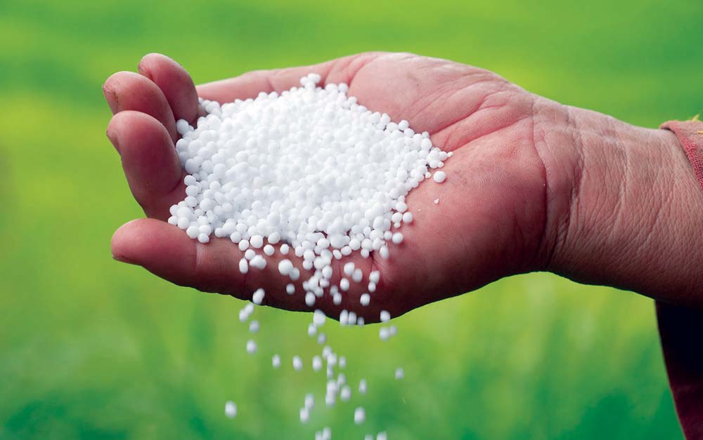 ‘जिटुजी’ मार्फत खरिद हुँदै रासायनिक मल