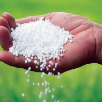 ‘लोकतन्त्रमा मात्र सबैको अधिकार सुनिश्चित हुन्छ’