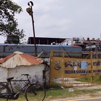 पारा तेक्वान्दो ‘क्विन’ पलेशा