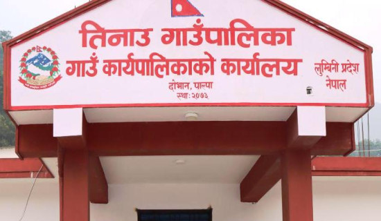 कार्यान्वयनले लिन थाल्यो गति