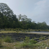 खानेपानीको लागि देउसीबाट ३ लाख बढी सङ्कलन