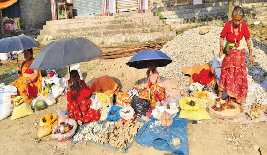 कामपाको श्रम बैङ्कमा चार सयको आवेदन