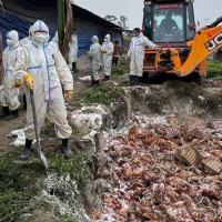 तस्बिरमा जनैपूर्णिमा