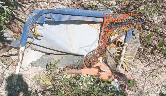 बारा २ मा ५० प्रतिशत बढी मतदान