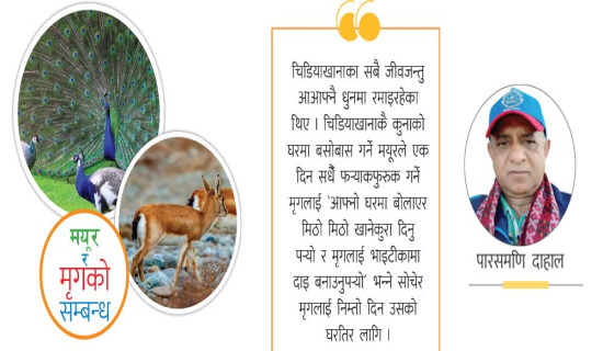 रमाइलो काठमाडौँ  फन पार्क