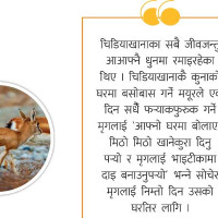 यसरी बुझौँ  ‘फाइभजी’