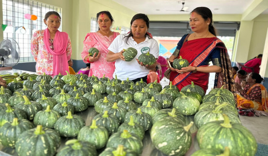 वर्ष २०८१ मा सरकार: नीतिगत फड्को कार्यान्वयन आवश्यक