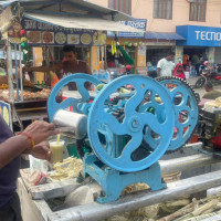 सहकारीमा बेथिति : पति अध्यक्ष, जग्गा र कम्पनीमा पत्नीको हालीमुहाली