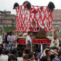 झापा दोस्रो पटक विराट गोल्डकप च्याम्पियन