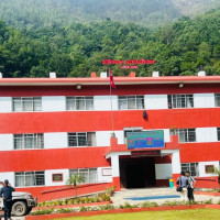 विद्युतीय चुलोको माग १२ गुणा वृद्धि