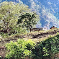 संस्कृत भाषा पृष्ठ