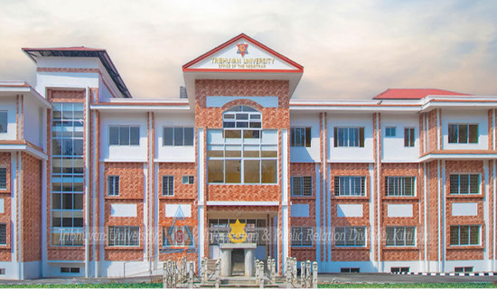 भारतीय ग्राहकले धानेको ऐतिहासिक ब्रह्मदेव बजार