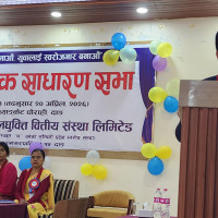 हावाहुरीले पोल ढाल्दा विद्युत् अवरुद्ध