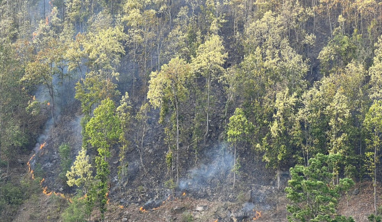 उत्सवकै रूपमा मनोनयन दर्ता
