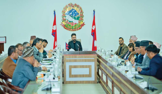 दुर्घटनामा तीन सय कुखुरा मरे