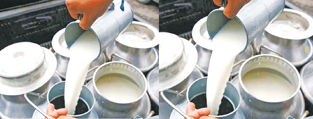 सहरको पैसा गाउँमा तान्दै