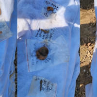 विश्वविद्यालयबाट दलीय सङ्गठन  संरचना तत्काल हटाउन निर्देशन