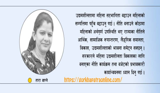 उद्यमशीलतामा महिला सहभागिता