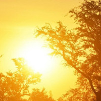 निःशुल्क विदेश जान हेलो सरकारमा सोधीखोजी