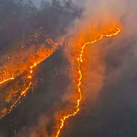 गोली हान्न लगाउनेलाई कारबाही सिफारिस