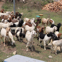 ‘उपलब्धिलाई समाप्त गर्नेहरूलाई जनताले परास्त गर्ने छन्’