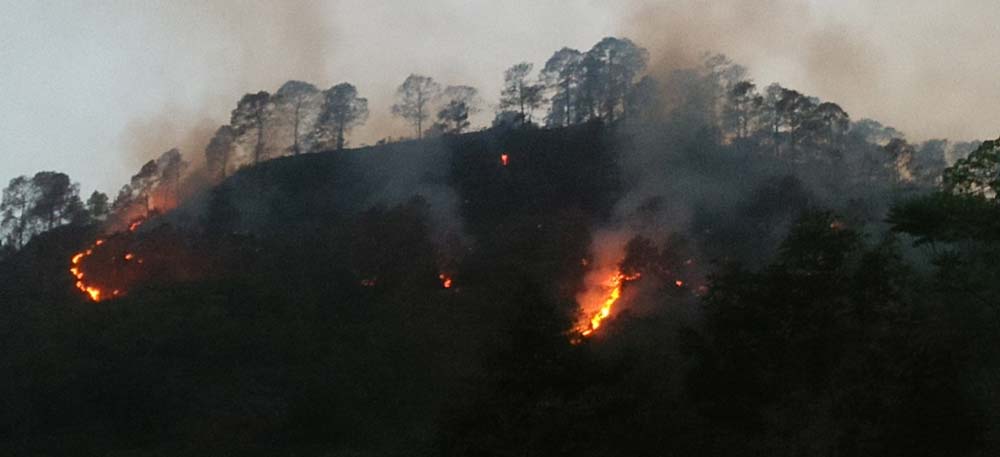 पाँच सय चालिस हेक्टर वनक्षेत्रमा आगलागी