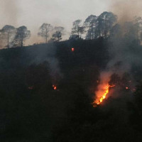उद्यमशीलतामा महिला सहभागिता