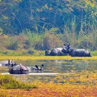 बागलुङ नगरपालिका ७ आफ्नै भवनमा