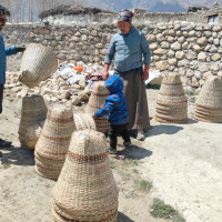 फिलिम–लार्केपास पदमार्गमा पाँच दिन खच्चड आवतजावत बन्द