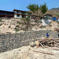 ७० वर्षीय बाबुलाई बचाउन छोराले दिए कलेजो