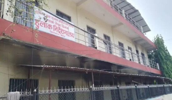 ग्रामीण क्षेत्रबाट महुवा सङ्कलन