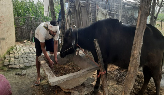 पार्किङस्थल निर्माण नगर्न आदेश