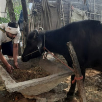 कृषि बाली बिमाप्रति छैन किसानको आकर्षण