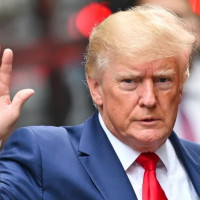 तोरीमा छरेको विषादीले नौ वटा मृग मरे