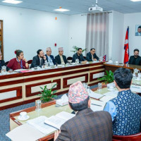 हुलाकी सडकमा धमाधम बन्दै पुल