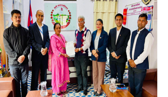 प्रतापपुरमा आगलागी हुँदा १२ घर जलेर नष्ट