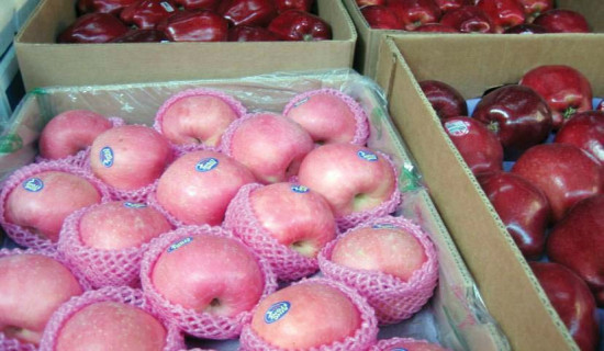 अपेक्षित हुन सकेन नवयुवाको प्रतिनिधित्व