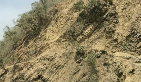 रास्वपाले तोक्यो समानुपातिक सांसदको जिम्मेवारी