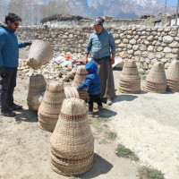 सरकारी गाडीको ठक्करबाट नवलपुरमा एकको मृत्यु