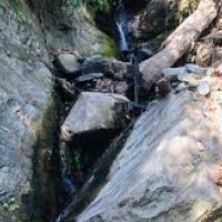 रुपन्देहीमा छोराले गरे आमाको हत्या