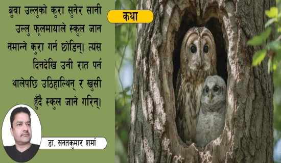 स्कुल जान नमान्ने सानी उल्लु