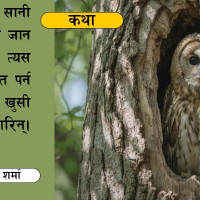 सुस्तामा नारायणी कटान रोक्न १४ करोडको तटबन्ध