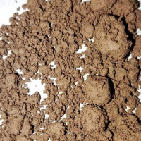 सरकारले तत्काल राष्ट्रिय स्वास्थ्य नीति पुनरवलोकन गर्नुपर्छ