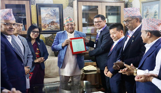 निर्वाचनसम्बन्धी प्रतिवेदन आयोगसमक्ष प्रस्तुत