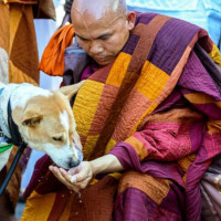 महामन्त्रीद्वय गगन–विश्व र सहमहामन्त्री मन्सुरमाथि कारबाही : पार्टी साधारण सदस्‍यबाट निष्काशित