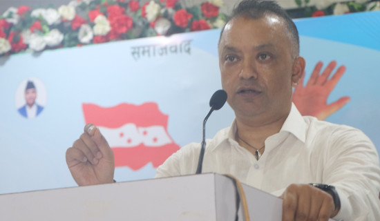 शान्ति पदयात्रा र सेलिब्रेटी कुकुरले तानेको ध्यान