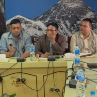 साहित्यिक सक्रियता : केही विश्लेषण