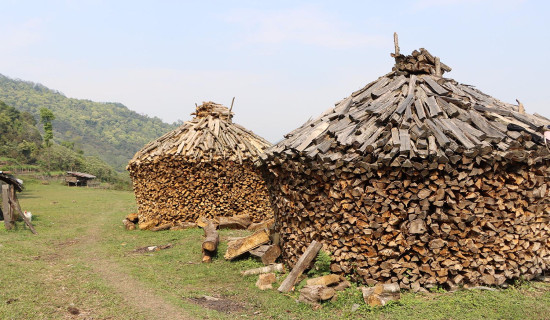 दाउराको कुन्यू